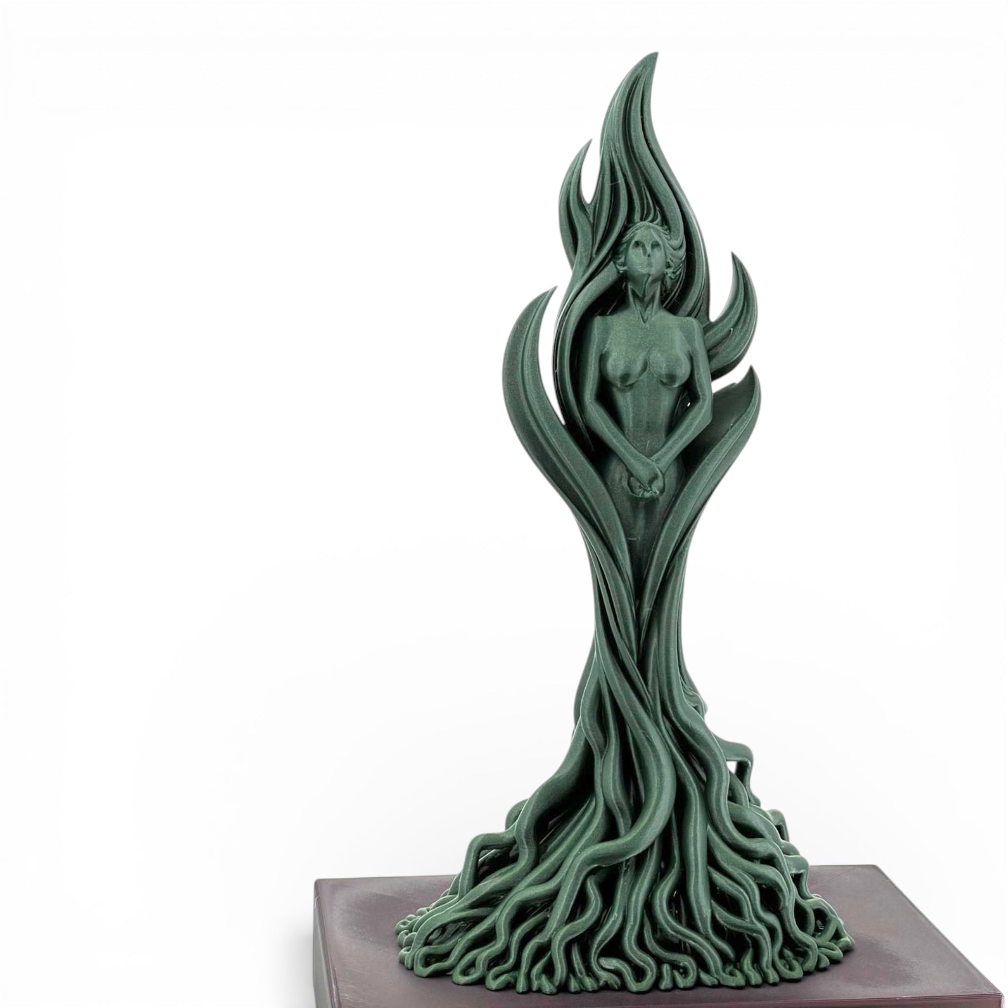 Trofeu special MaxBet