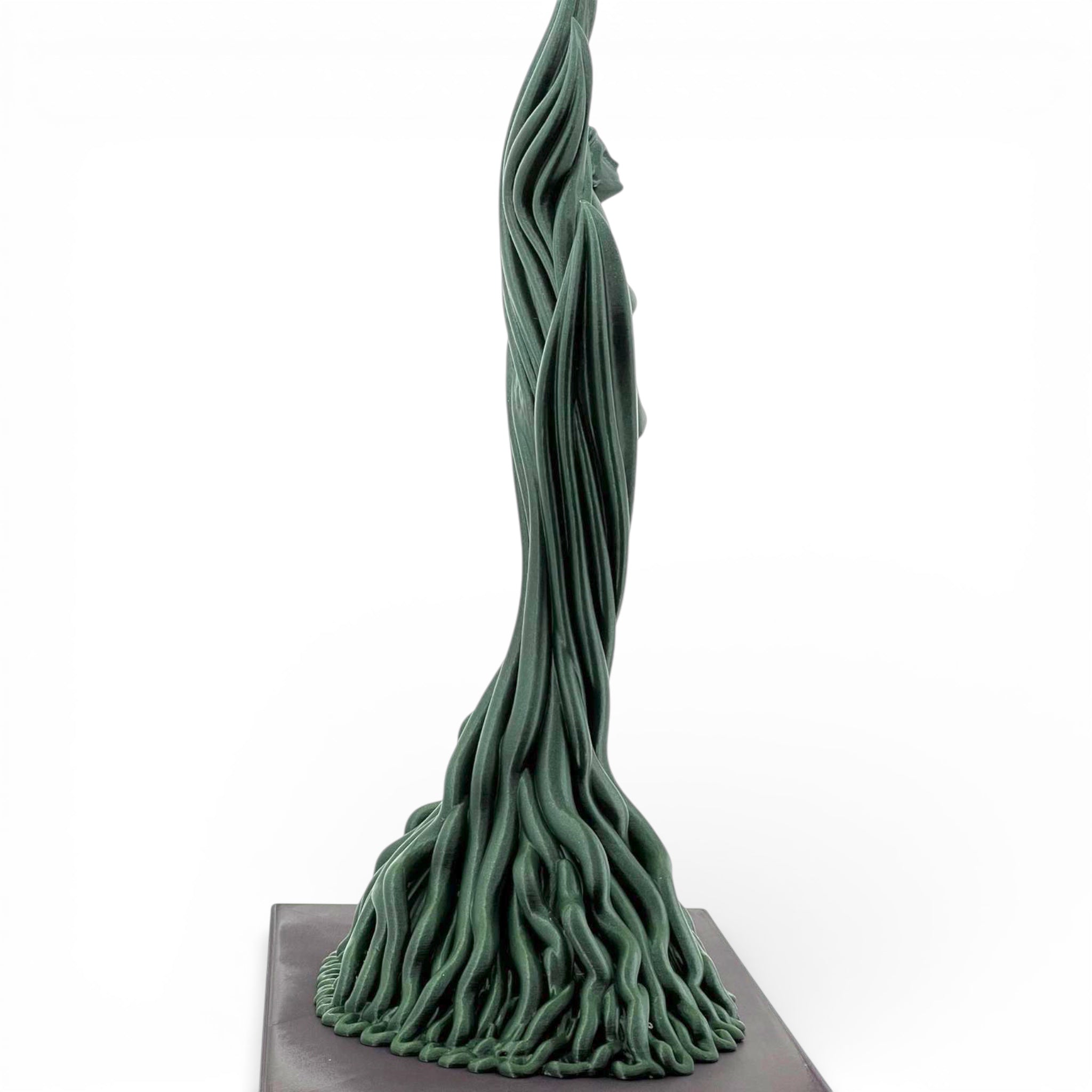 Trofeu special MaxBet