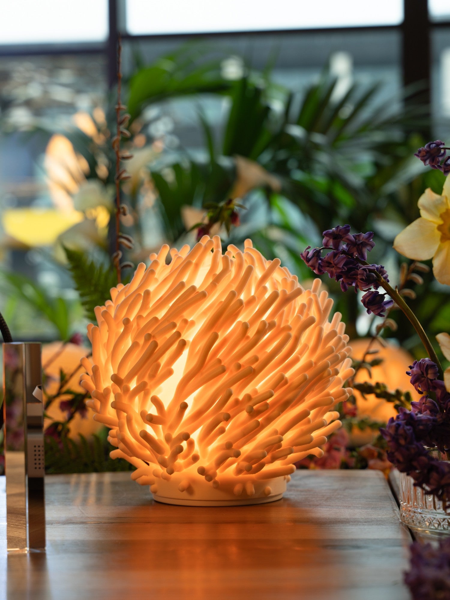 Coral — în interior