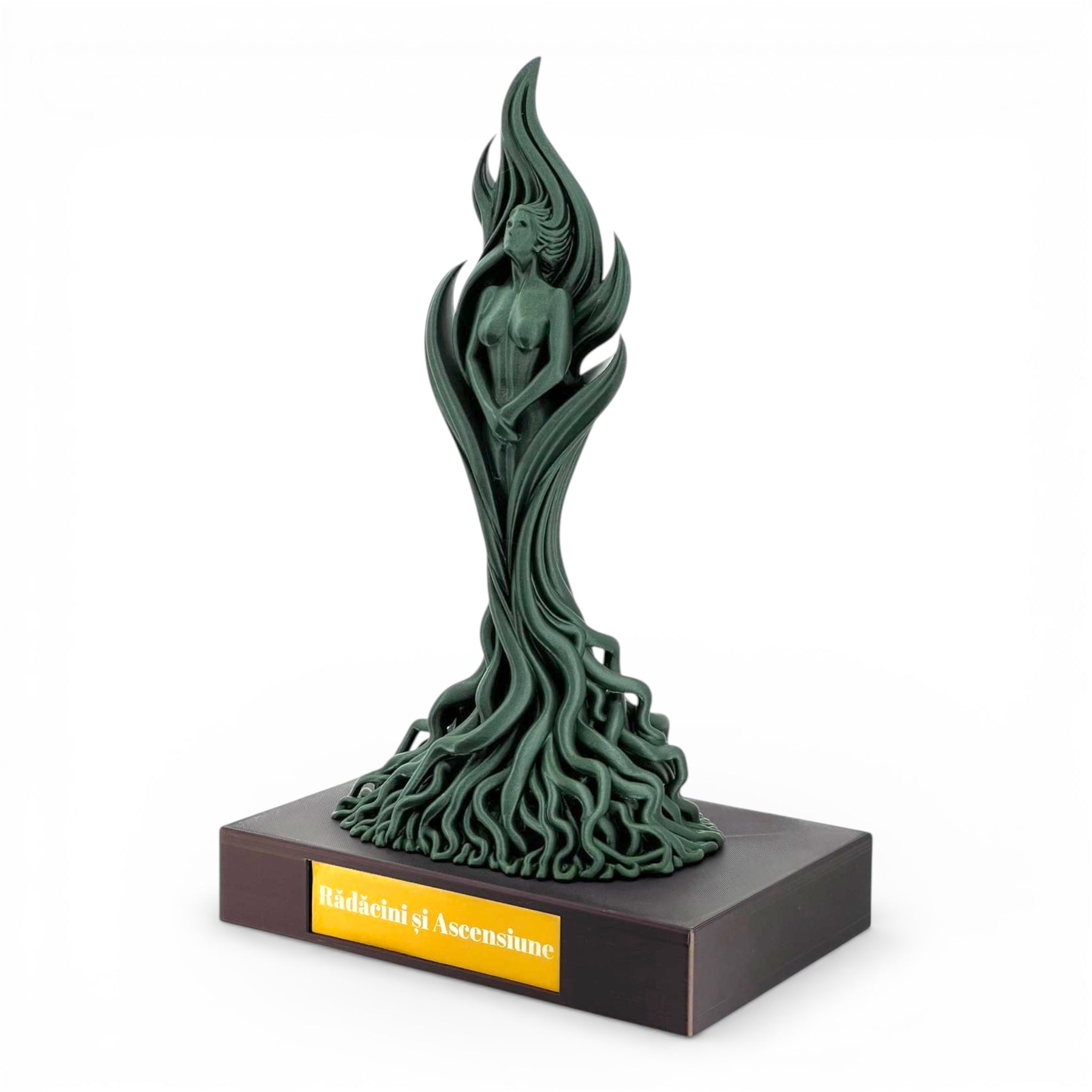 Trofeu special MaxBet