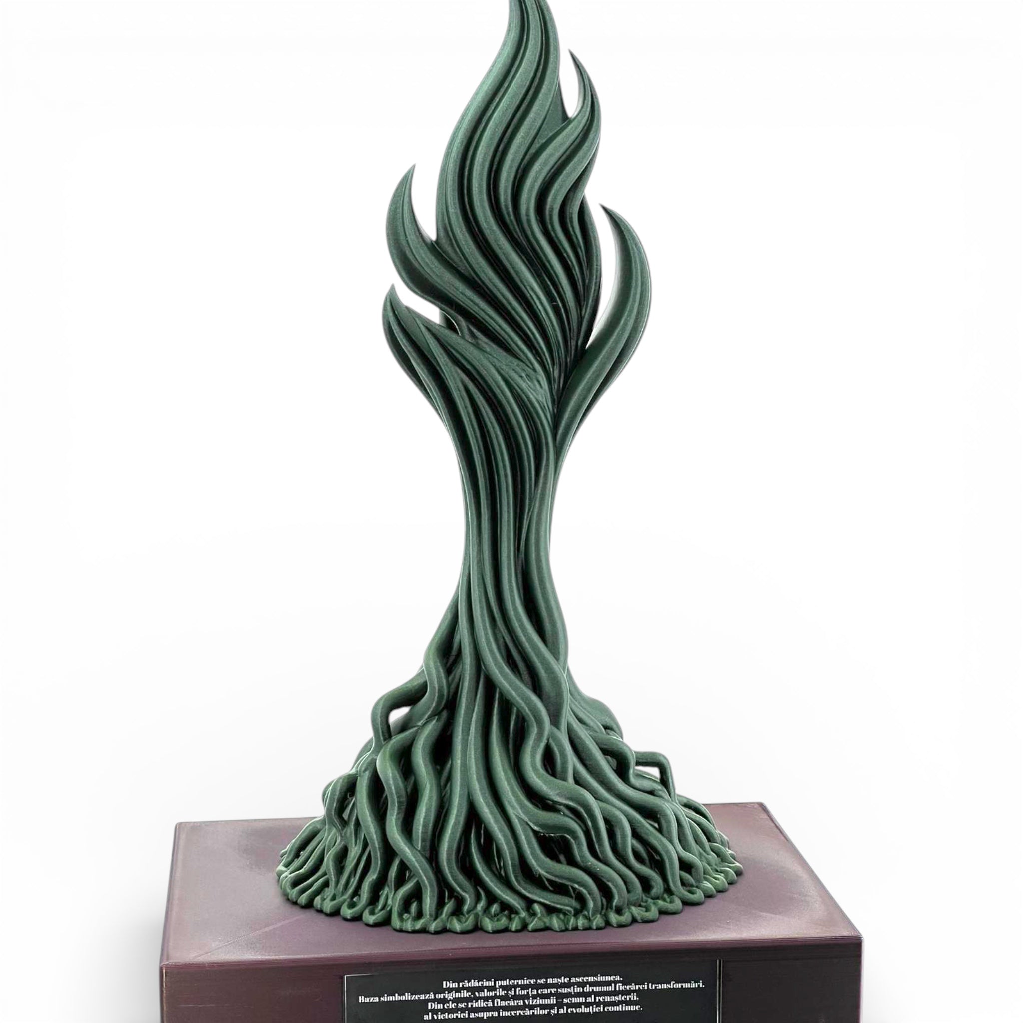 Trofeu special MaxBet