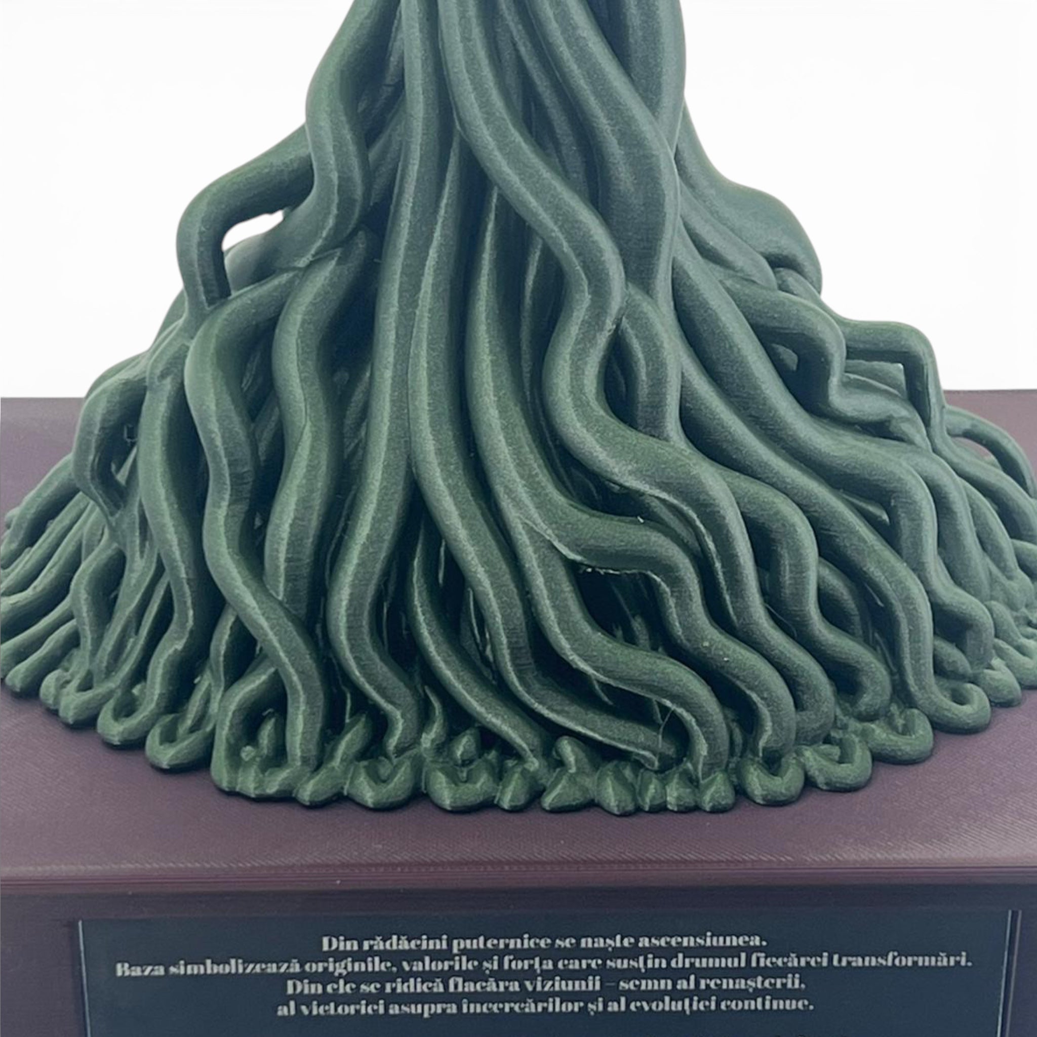 Trofeu special MaxBet