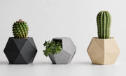 Harte Hanks — Des objets pour les espaces végétalisés