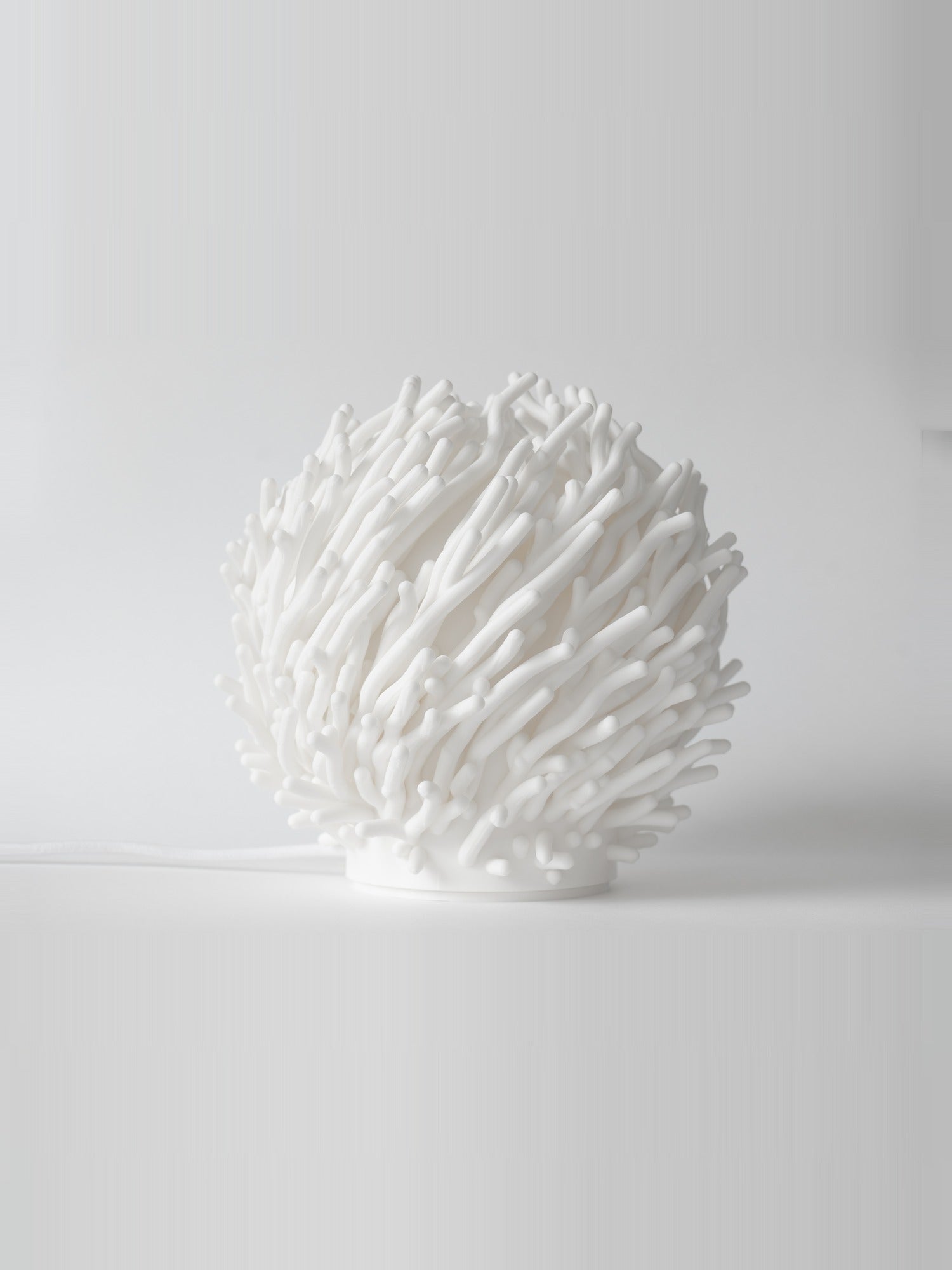 Coral — studio, alb natural